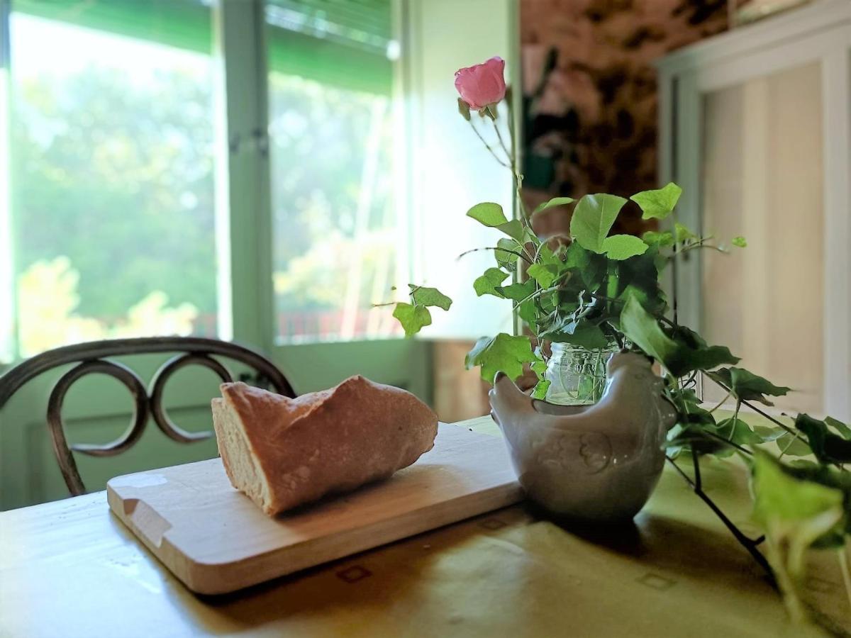 Vivalidays Casa Rural Anna Mieres Gerona Eksteriør bilde